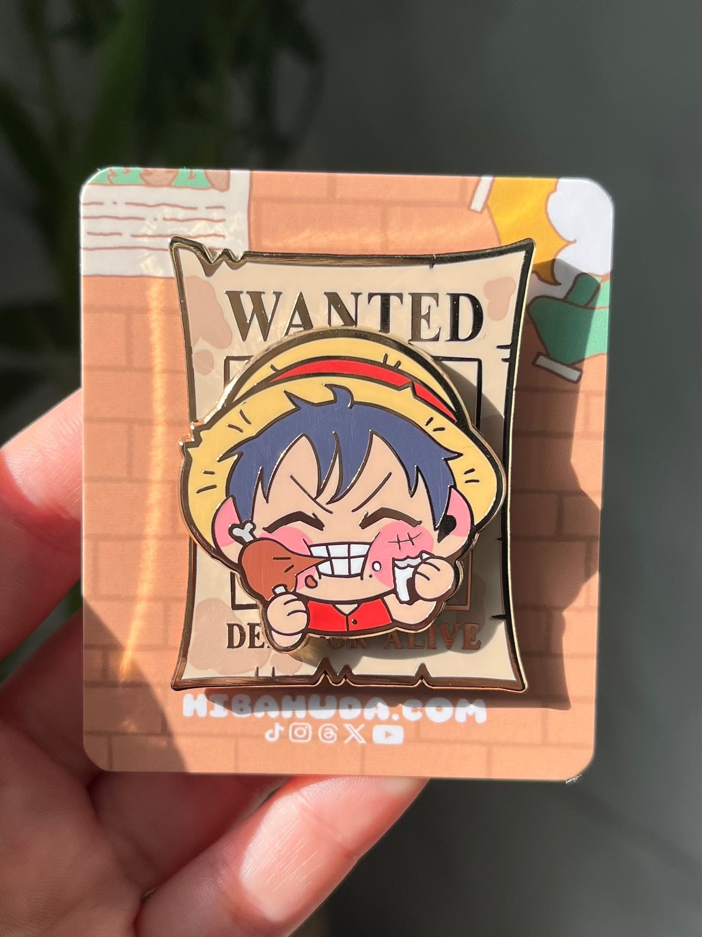 Magnet on Enamel Pin - The "Wanted" Collection